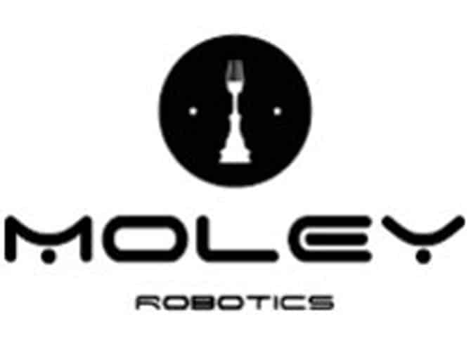 Consultancy - moley